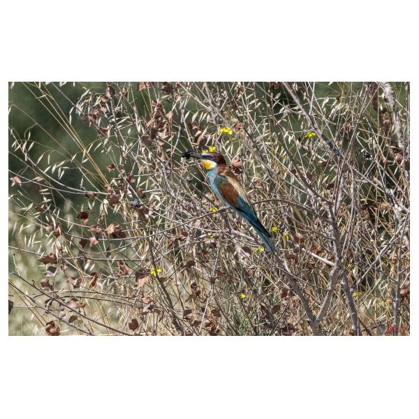 PHOTO84, CLUB, 84 , LUBERON